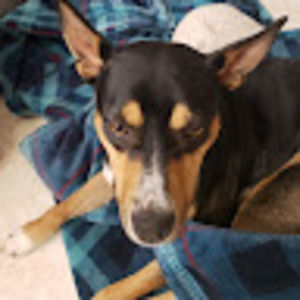 Meet your Posher, Aubrey